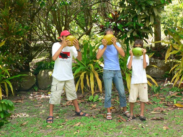 67- Chacun sa coco 